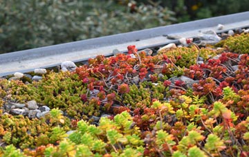 the cost of Thirsk green roof installation