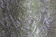 Thirsk fibreglass roof work